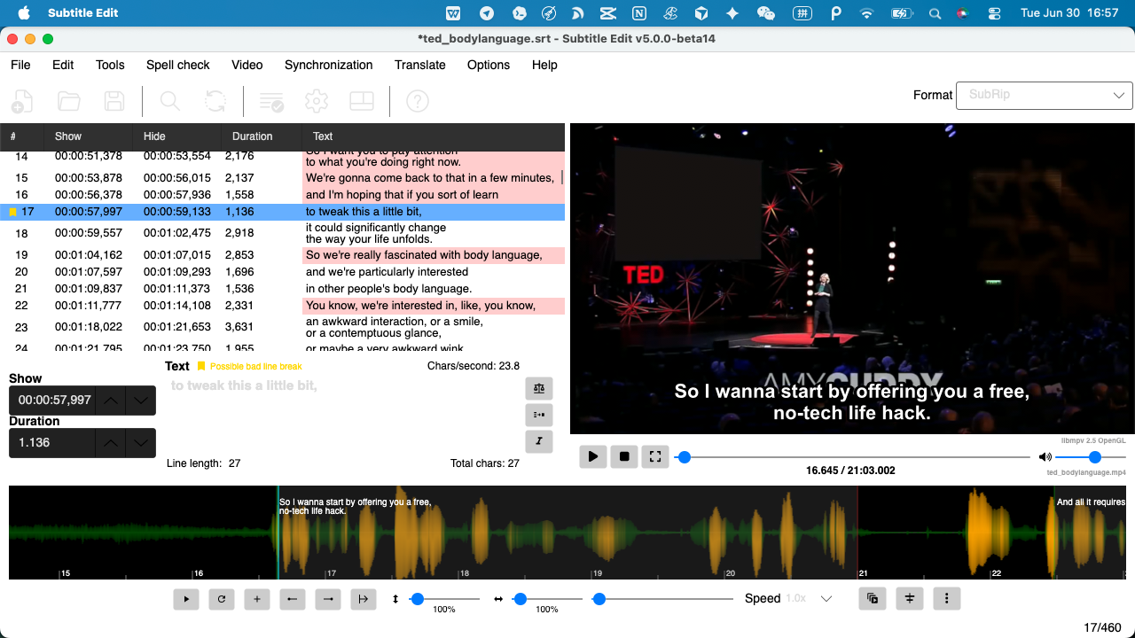 GeekLink 的複查包在 Mac 上的 Subtitle Edit 裡開啟——一個書籤標出一條被標的行並帶有「可能的斷行問題」提示，影片自動載入在字幕列表旁邊